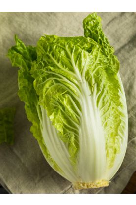 China Express Cabbage