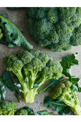 Early Dream Broccoli