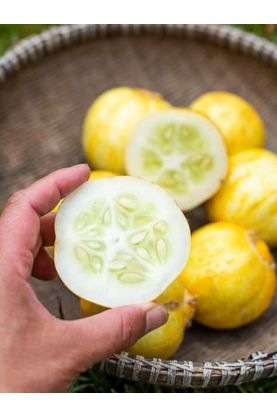 Lemon Cucumbers
