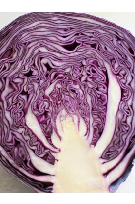 Red Jewel Cabbage